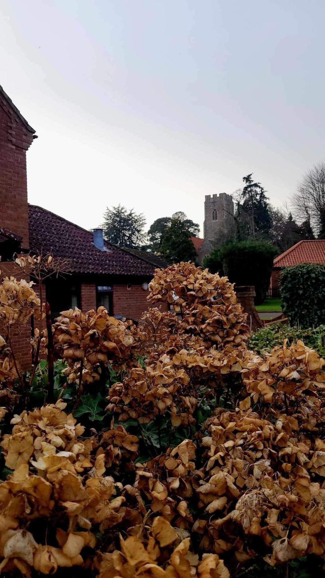 Church Farm Guest House Horsford Exterior foto